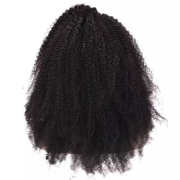 Afro Ally U-Part Wig