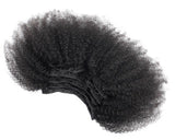 Afro Ally Clip-Ins
